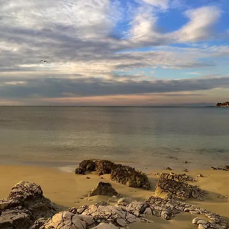 Gvarda Umag
